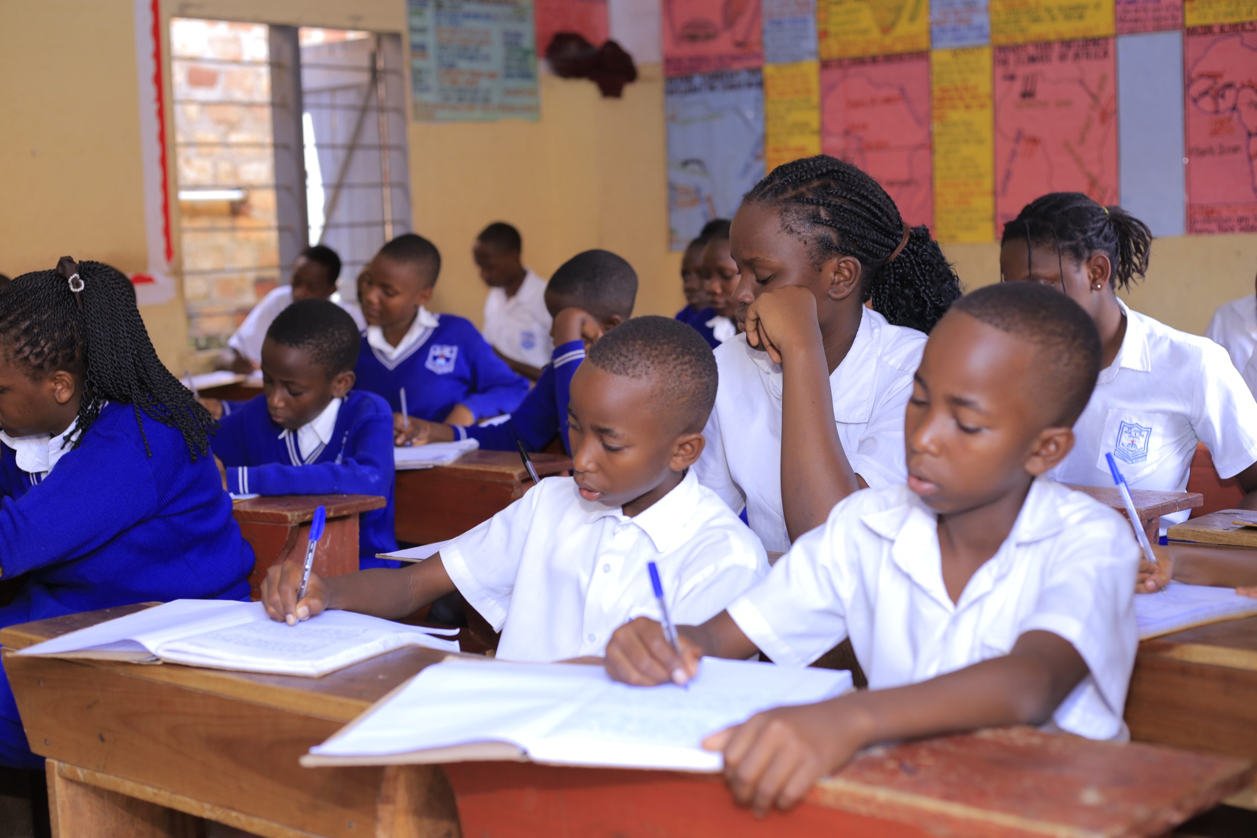 Primary pupils studying in class